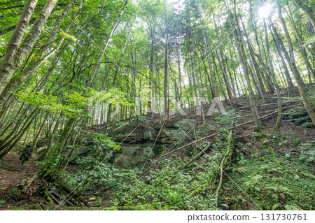 Beautiful green forest Hiking path with Sandstone chalk rock formations in Berdorf Mullerthal Luxembourg 131730761