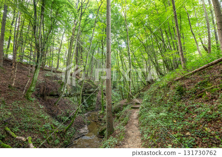 Beautiful green forest Hiking path with Sandstone chalk rock formations in Berdorf Mullerthal Luxembourg 131730762