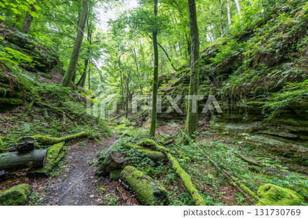 Beautiful green forest Hiking path with Sandstone chalk rock formations in Berdorf Mullerthal Luxembourg 131730769