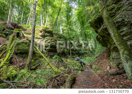 Beautiful green forest Hiking path with Sandstone chalk rock formations in Berdorf Mullerthal Luxembourg 131730770