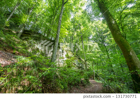 Beautiful green forest Hiking path with Sandstone chalk rock formations in Berdorf Mullerthal Luxembourg 131730771