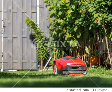 Autonomous red robotic lawn mower cutting grass in sunny garden near shed. Modern smart gardening equipment for lawn maintenance.  131730830