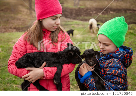 Joyful boy and smiling girl holding black goats on the farm. Rural lifestyle, childhood and animal care in the countryside. 131730845