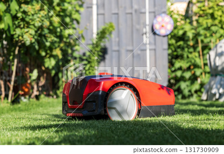 Autonomous red robotic lawn mower cutting grass in sunny garden near shed. Modern smart gardening equipment for lawn maintenance. Autonomous red robotic lawn mower cutting grass in sunny garden near shed. Modern smart gardening equipment for lawn maintenance. 131730909