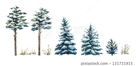Hand-painted watercolor illustration of snowy pine trees, frosty branches and natural winter landscape, rustic seasonal clipart perfect for holiday greeting cards and decorative projects and patterns. Hand-painted watercolor illustration of snowy pine trees, frosty branches and natural winter landscape, rustic seasonal clipart perfect for holiday greeting cards and decorative projects and patterns. 131731915