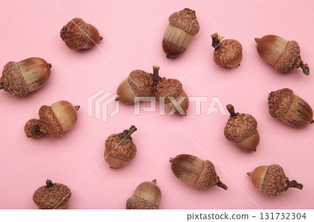 Brown acorn oak nut on pink background. 131732304