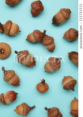 Brown acorn oak nut on blue background. Brown acorn oak nut on blue background. 131732313
