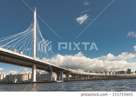 Cable-stayed bridge across Gulf of Finland in St. Petersburg, Russia on sunny day, copy space 131733603