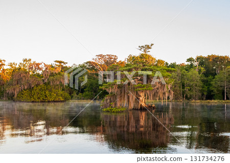 Blue Cypress , Lake, Florida 131734276
