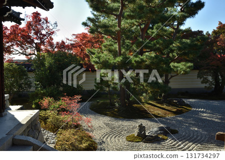 Autumn in Toji-in Temple: The southern garden of the abbot's chamber on the side of Reikoden Hall (Kita Ward, Kyoto City) 131734297