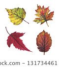 Yellow and red autumn leaves on a whit background. Watercolor illustration. Clip art botany foliage. Autumn illustration for greeting cards, wedding invitations, quote and decorations 131734461