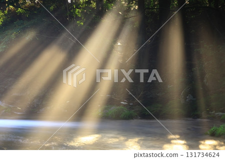 A summer stream illuminated by sunlight 131734624