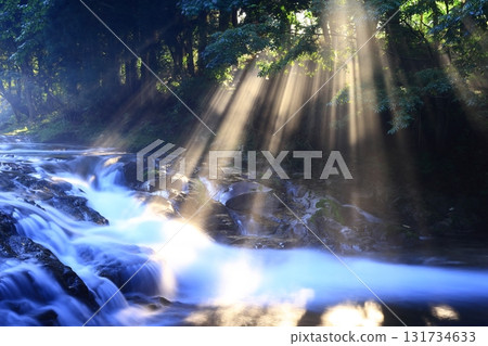 A summer stream illuminated by sunlight A summer stream illuminated by sunlight 131734633
