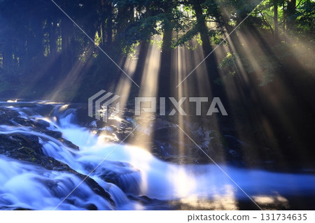 A summer stream illuminated by sunlight 131734635