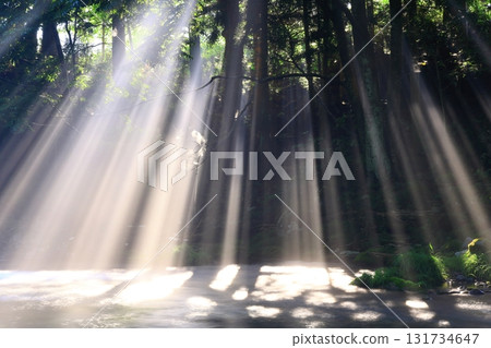 陽光照射下的夏日小溪 131734647