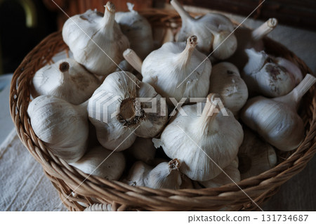 garlic  131734687