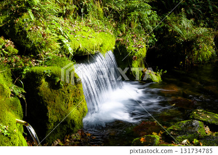 Daisetsuyama Asahidake來源水 131734785