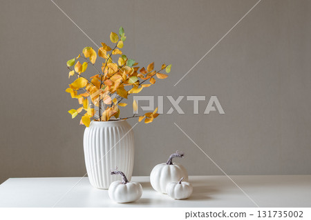 Bouquet of dry fall leaves and branches in white vase and pumpkins on white table. Minimal modern composition. Autumn season. Home interior and season decoration. Bouquet of dry fall leaves and branches in white vase and pumpkins on white table. Minimal modern composition. Autumn season. Home interior and season decoration. 131735002