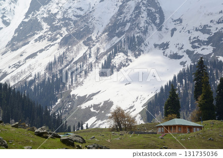 Sonamarg is the golden meadow of Kashmir, situated on the way to Leh, at an altitude of 2,740 meters above sea level. It is a land of natural beauty with pine forests, meadows and pristine. 131735036