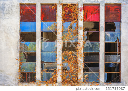 Old concrete building facade with broken colored glass windows and dried climbing vines. Vintage background. Concept of decay, abandonment, urban ruin 131735087