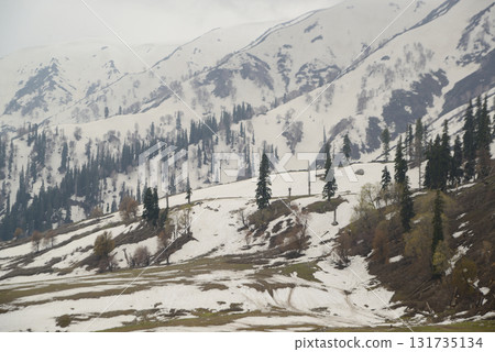 The beautiful scenery of Gulmarg, Kashmir, India, which is famous in the world for its true natural beauty. 131735134