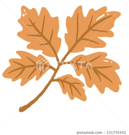 Cute Autumn Leaf Illustration Hand Drawn Fall Botanical Foliage Cozy Nature Orange Leaf Art 131735432
