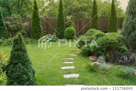 Beautiful landscaped backyard garden with evergreen plants, lawn and stone pathway, summer outdoor scene 131736093