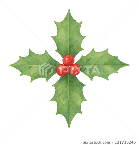 冬青和紅色漿果水彩插圖(剪切) 冬青和紅色漿果水彩插圖(剪切) 131736240