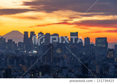 從東京文京區市民中心（新宿方向）看到的景色 131736425