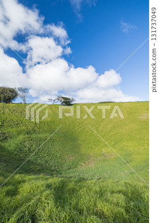 紐西蘭奧克蘭伊甸山火山口的景色 紐西蘭奧克蘭伊甸山火山口的景色 131737049