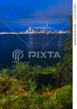 從紐西蘭奧克蘭海灣對面欣賞城市夜景和燈火通明的天空塔 從紐西蘭奧克蘭海灣對面欣賞城市夜景和燈火通明的天空塔 131737067