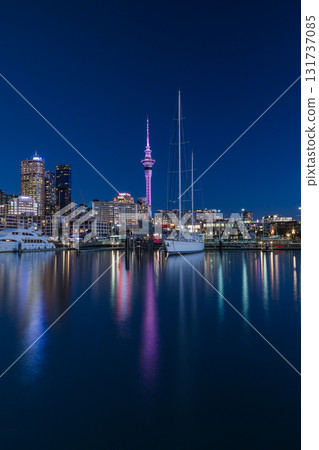 從紐西蘭奧克蘭高架橋欣賞天空塔和遊艇港的夜景 從紐西蘭奧克蘭高架橋欣賞天空塔和遊艇港的夜景 131737085