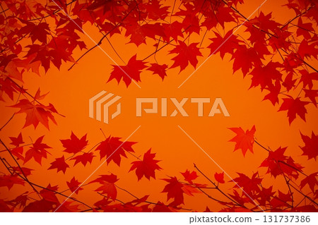 易於設計的楓葉背景材料 131737386