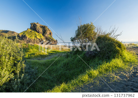 Lion Rock at Piha Beach near Auckland, New Zealand Lion Rock at Piha Beach near Auckland, New Zealand 131737962
