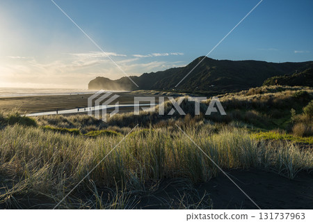 Piha Beach near Auckland, New Zealand Piha Beach near Auckland, New Zealand 131737963