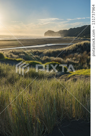 Piha Beach near Auckland, New Zealand Piha Beach near Auckland, New Zealand 131737964
