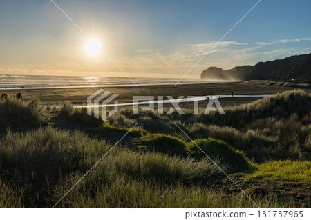 Piha Beach near Auckland, New Zealand Piha Beach near Auckland, New Zealand 131737965
