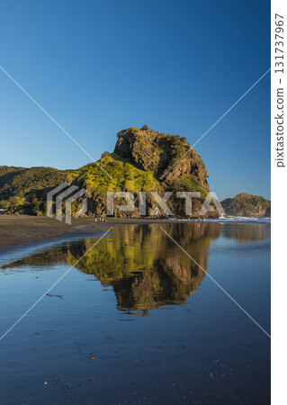 Lion Rock at Piha Beach near Auckland, New Zealand Lion Rock at Piha Beach near Auckland, New Zealand 131737967