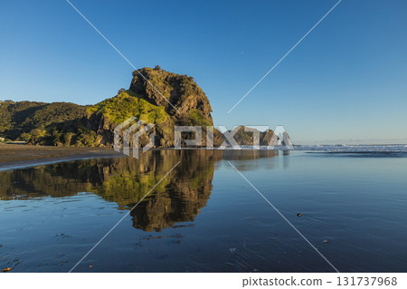 Lion Rock at Piha Beach near Auckland, New Zealand Lion Rock at Piha Beach near Auckland, New Zealand 131737968