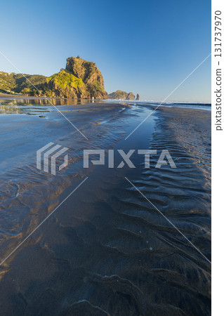 Lion Rock at Piha Beach near Auckland, New Zealand Lion Rock at Piha Beach near Auckland, New Zealand 131737970