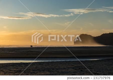 Piha Beach illuminated by the setting sun near Auckland, New Zealand Piha Beach illuminated by the setting sun near Auckland, New Zealand 131737976