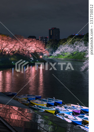 A fantastic night view of illuminated cherry blossoms at Chidorigafuchi Park, along the Hanzo Moat of the Imperial Palace in Chiyoda Ward, Tokyo A fantastic night view of illuminated cherry blossoms at Chidorigafuchi Park, along the Hanzo Moat of the Imperial Palace in Chiyoda Ward, Tokyo 131738012