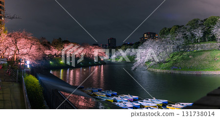 A fantastic night view of illuminated cherry blossoms at Chidorigafuchi Park, along the Hanzo Moat of the Imperial Palace in Chiyoda Ward, Tokyo A fantastic night view of illuminated cherry blossoms at Chidorigafuchi Park, along the Hanzo Moat of the Imperial Palace in Chiyoda Ward, Tokyo 131738014