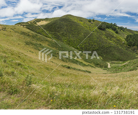 從紐西蘭威靈頓的天際線步道欣賞美景 從紐西蘭威靈頓的天際線步道欣賞美景 131738191