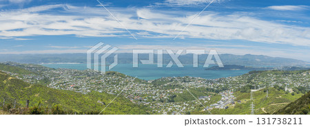 View of the cityscape and Wellington Harbour from the Skyline Walkway in Wellington, New Zealand View of the cityscape and Wellington Harbour from the Skyline Walkway in Wellington, New Zealand 131738211