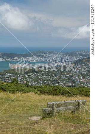 從紐西蘭惠靈頓的考考山俯瞰城市和海港 131738244