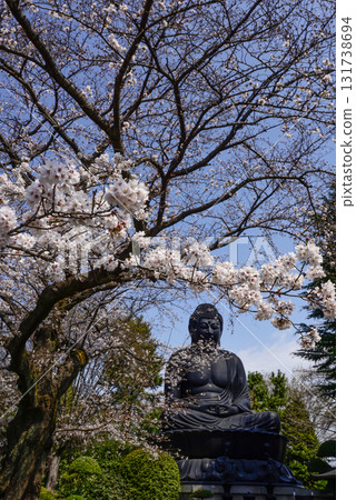 東京大佛（淨蓮寺）和櫻花 131738694