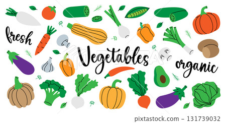 Vegetables set. Natural vegetarian foods. Chili pepper, carrot, tomato, mushroom, bell pepper, avocado, pumpkin, broccoli, cabbage, turnip, eggplant 131739032
