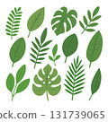 Collection of tropical green leaves in flat style. Assorted foliage for nature and summer-themed designs 131739065