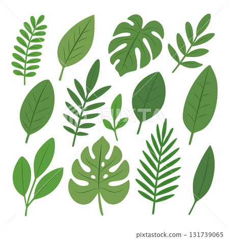 Collection of tropical green leaves in flat style. Assorted foliage for nature and summer-themed designs 131739065